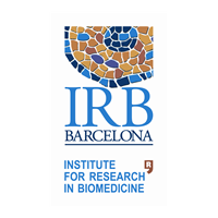 Institute for Research in Biomedicine (IRB Barcelona)