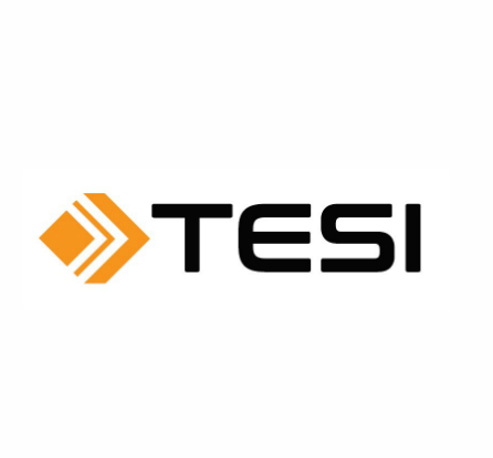 Tesi (Finnish Industry Investment)
